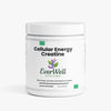 EverWell Gut Repair System
